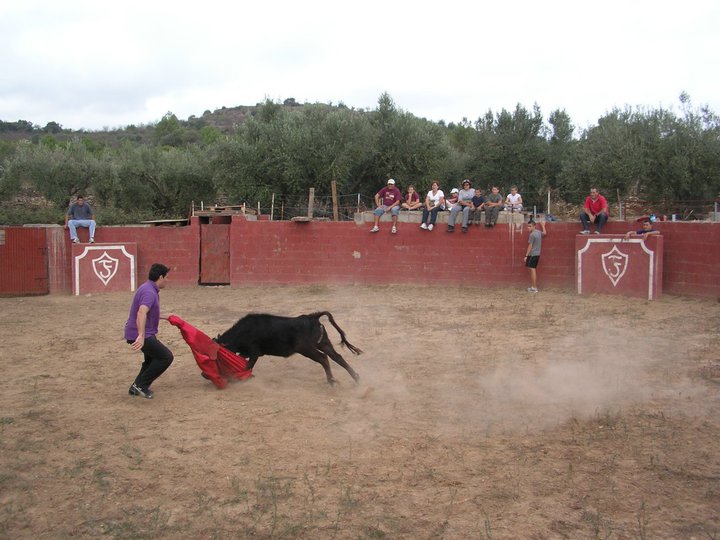 Álbum de fotos "Día de la juventud" capea
